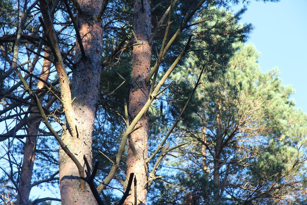 Tehumardi Camping Salme Bagian luar foto