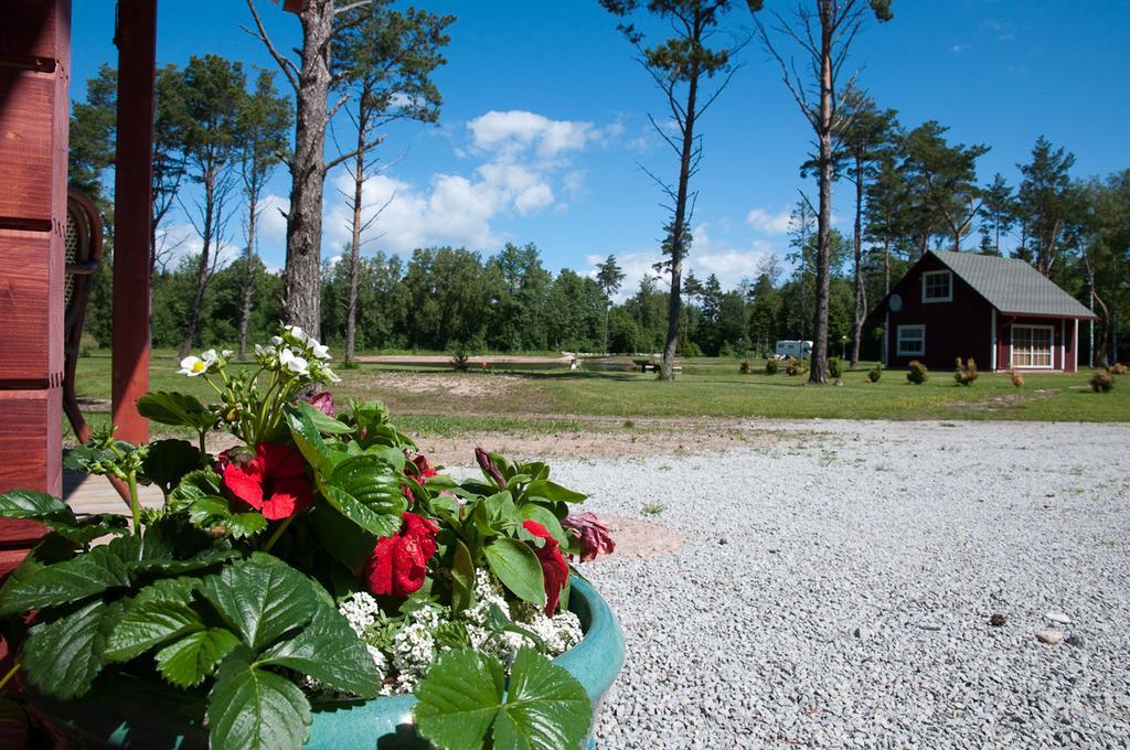 Tehumardi Camping Salme Bagian luar foto