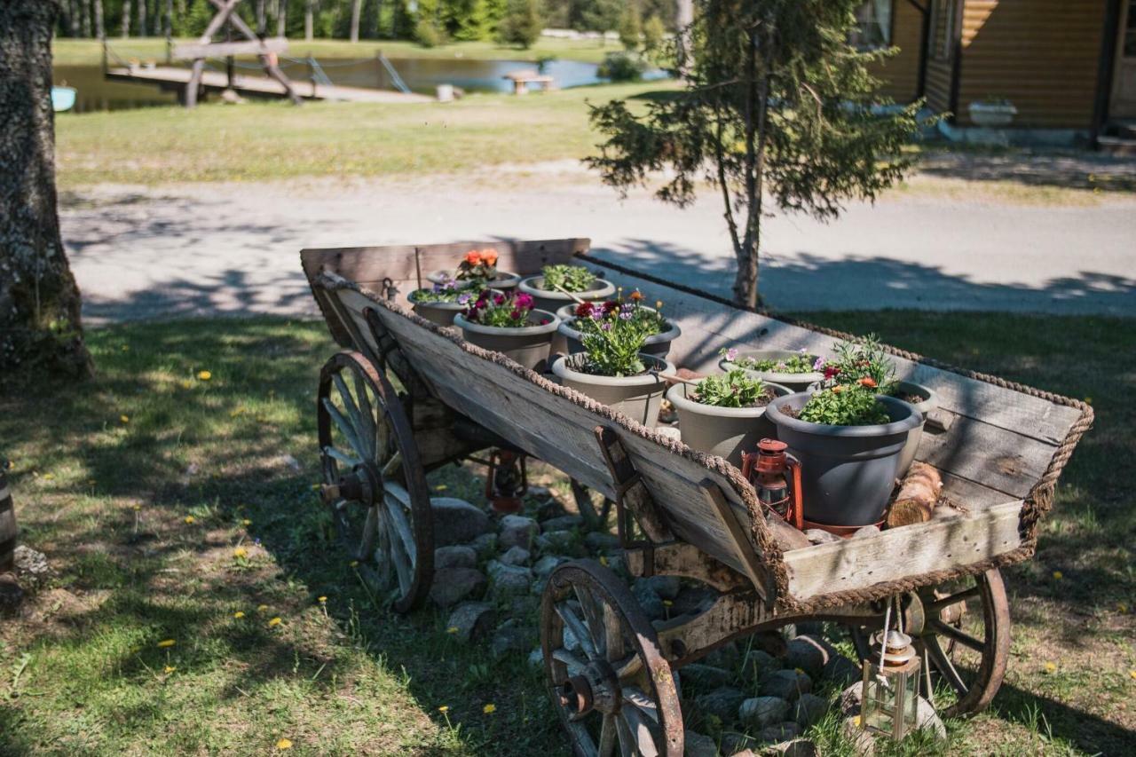 Tehumardi Camping Salme Bagian luar foto